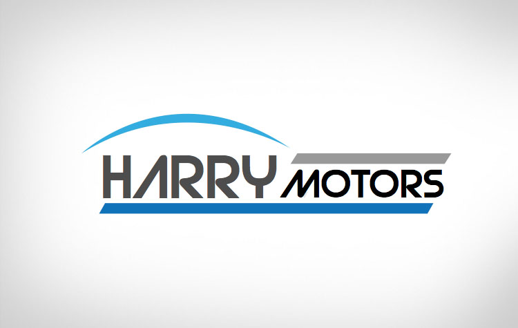 Big Portfolio Item Harry Motors
